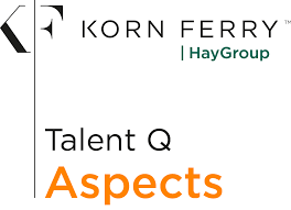 Тесты Talent Q Aspect Ability